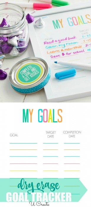 Dry Erase Goal Tracker by U Create